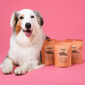 PAQUETE X3 DOGGY SNACKS (Envio Gratis)